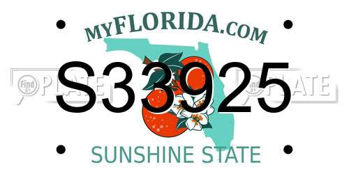S33925 Florida License Plate