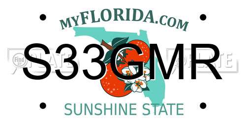 S33GMR Florida License Plate