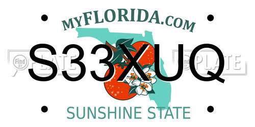 S33XUQ Florida License Plate