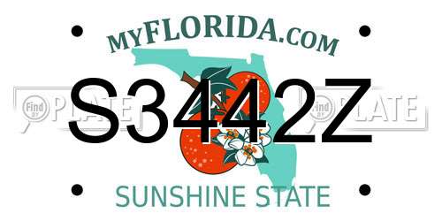 S3442Z Florida License Plate