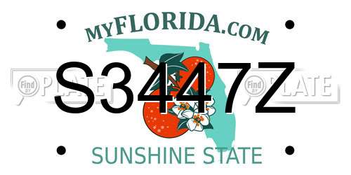 S3447Z Florida License Plate