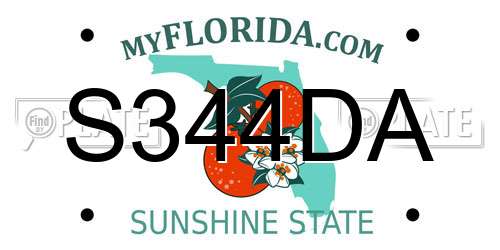 S344DA Florida License Plate