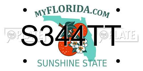 S344TT Florida License Plate