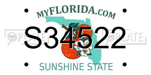 S34522 Florida License Plate