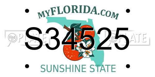 S34525 Florida License Plate