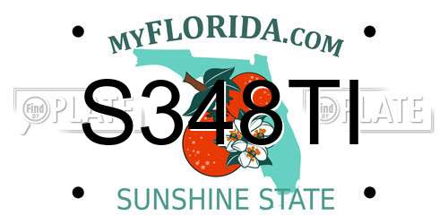 S348TI Florida License Plate