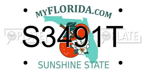 S3491T Florida License Plate