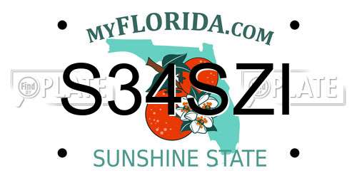S34SZI Florida License Plate