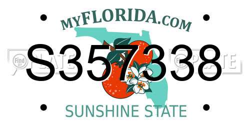 S357338 Florida License Plate