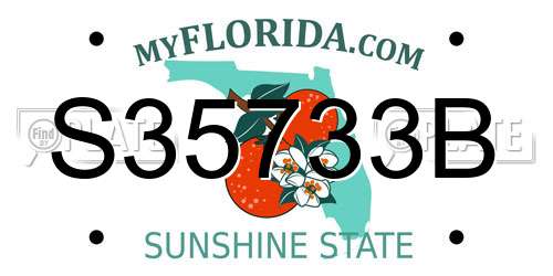 S35733B Florida License Plate