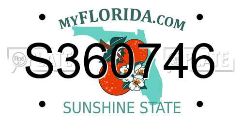 S360746 Florida License Plate