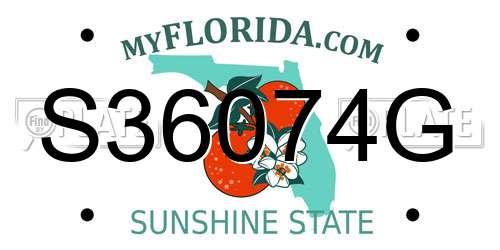 S36074G Florida License Plate