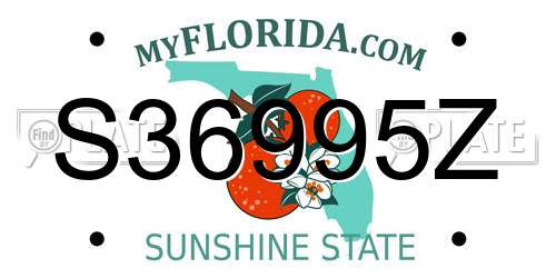 S36995Z Florida License Plate