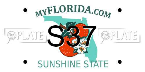 S37 Florida License Plate