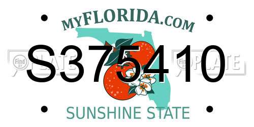S375410 Florida License Plate