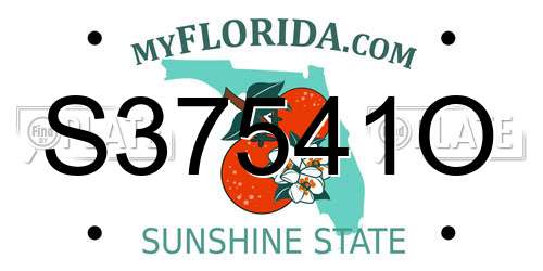 S37541O Florida License Plate