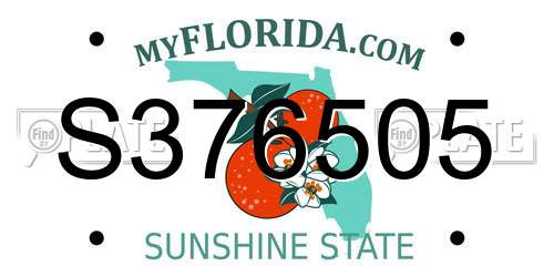 S376505 Florida License Plate