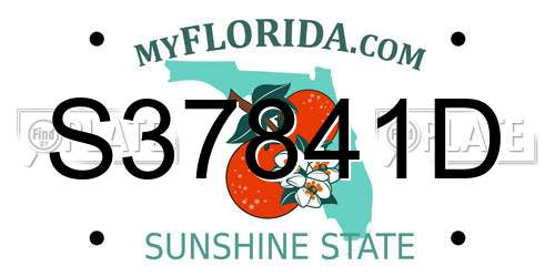 S37841D Florida License Plate