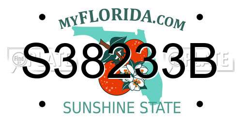 S38233B Florida License Plate