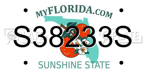 S38233S Florida License Plate