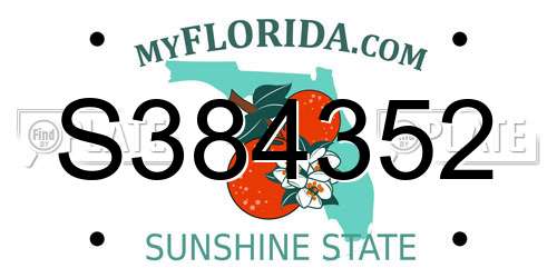 S384352 Florida License Plate