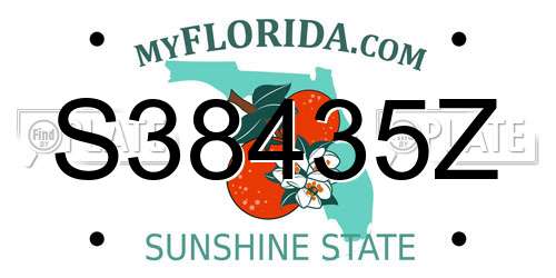 S38435Z Florida License Plate