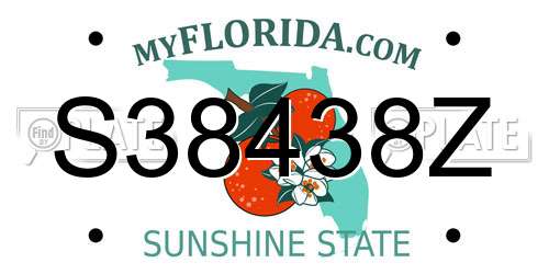 S38438Z Florida License Plate
