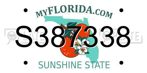 S387338 Florida License Plate