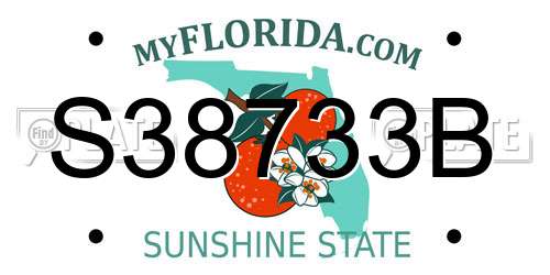 S38733B Florida License Plate