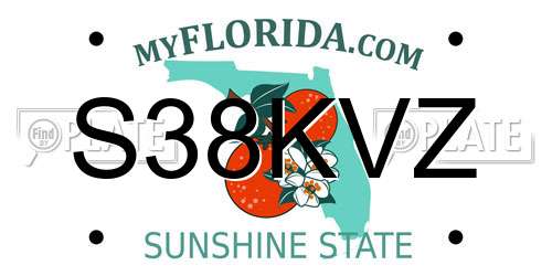 S38KVZ Florida License Plate