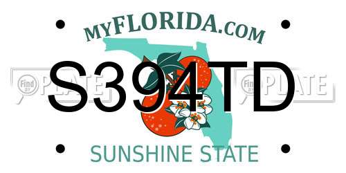 S394TD Florida License Plate
