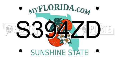 S394ZD Florida License Plate