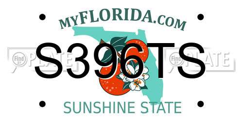 S396TS Florida License Plate