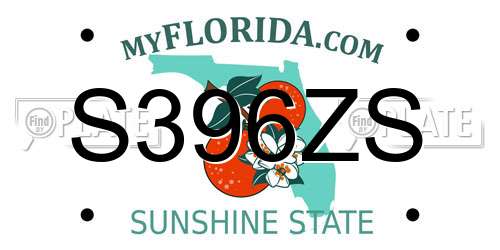 S396ZS Florida License Plate