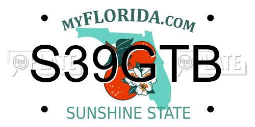 S39GTB Florida License Plate