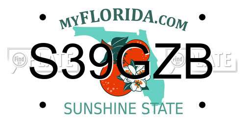 S39GZB Florida License Plate