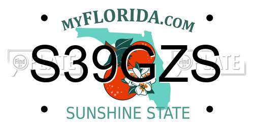 S39GZS Florida License Plate