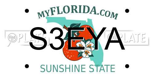 S3EYA Florida License Plate