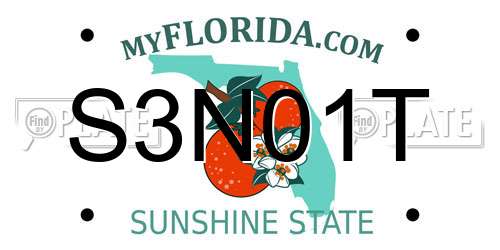 S3N01T Florida License Plate