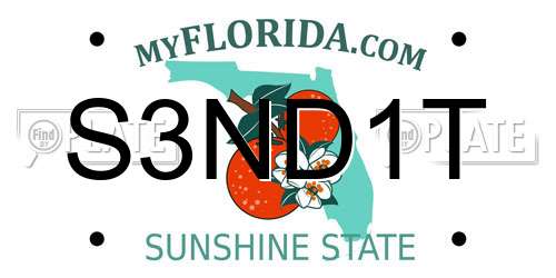 S3ND1T Florida License Plate