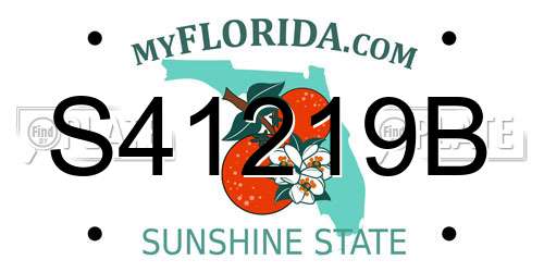 S41219B Florida License Plate