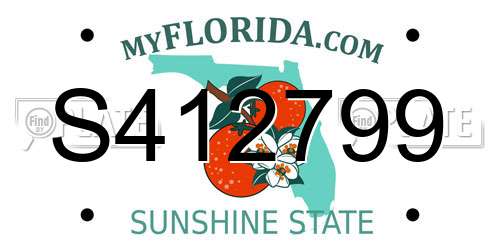 S412799 Florida License Plate