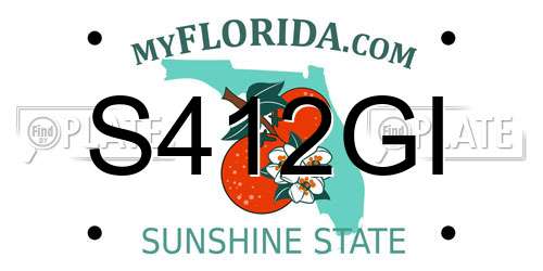 S412GI Florida License Plate