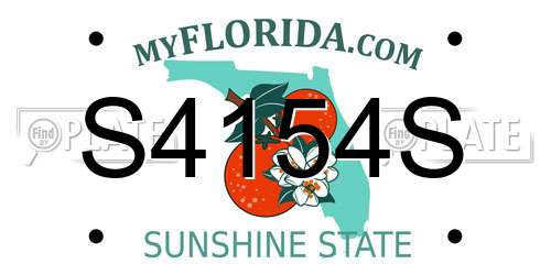 S4154S Florida License Plate