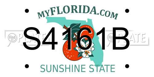 S4161B Florida License Plate