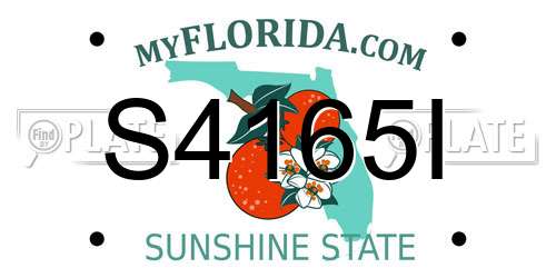 S4165I Florida License Plate