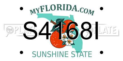 S4168I Florida License Plate