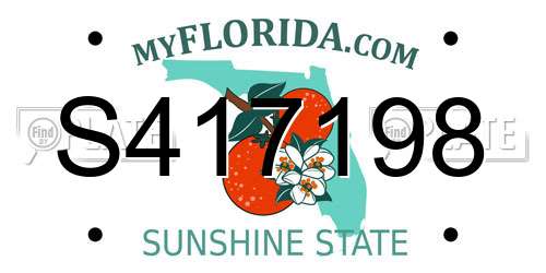 S417198 Florida License Plate