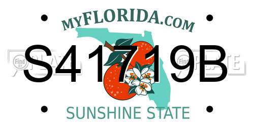 S41719B Florida License Plate
