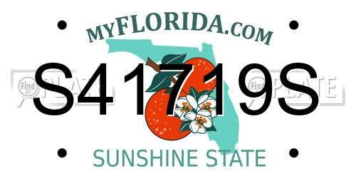 S41719S Florida License Plate